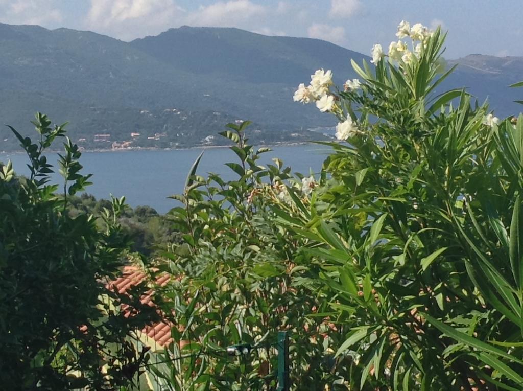 Panoramic Seaview Studio Tiuccia Casaglione Екстер'єр фото